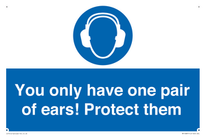 Mandatory: You only have one pair of ears! Protect them